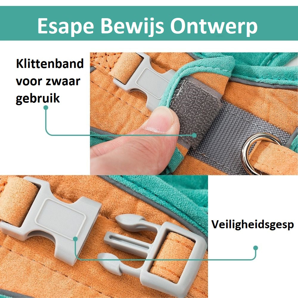 Bayline™ | Kat Harnas en Leiband Set
