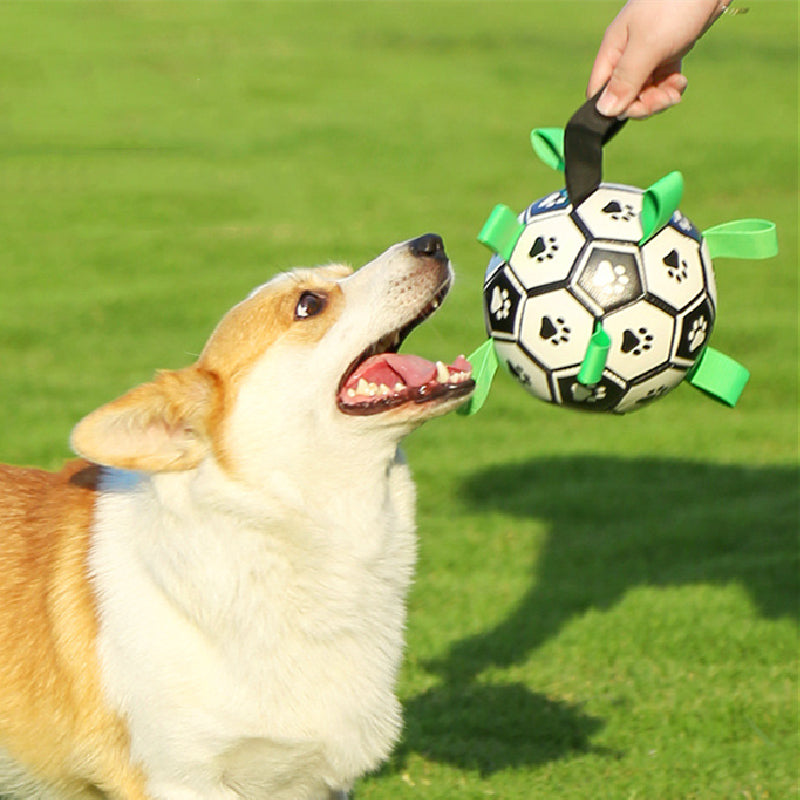 Bayline™ | PawKick - Voetbal Voor Honden