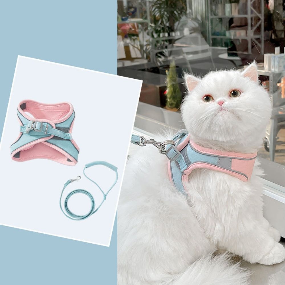 Bayline™ | Kat Harnas en Leiband Set
