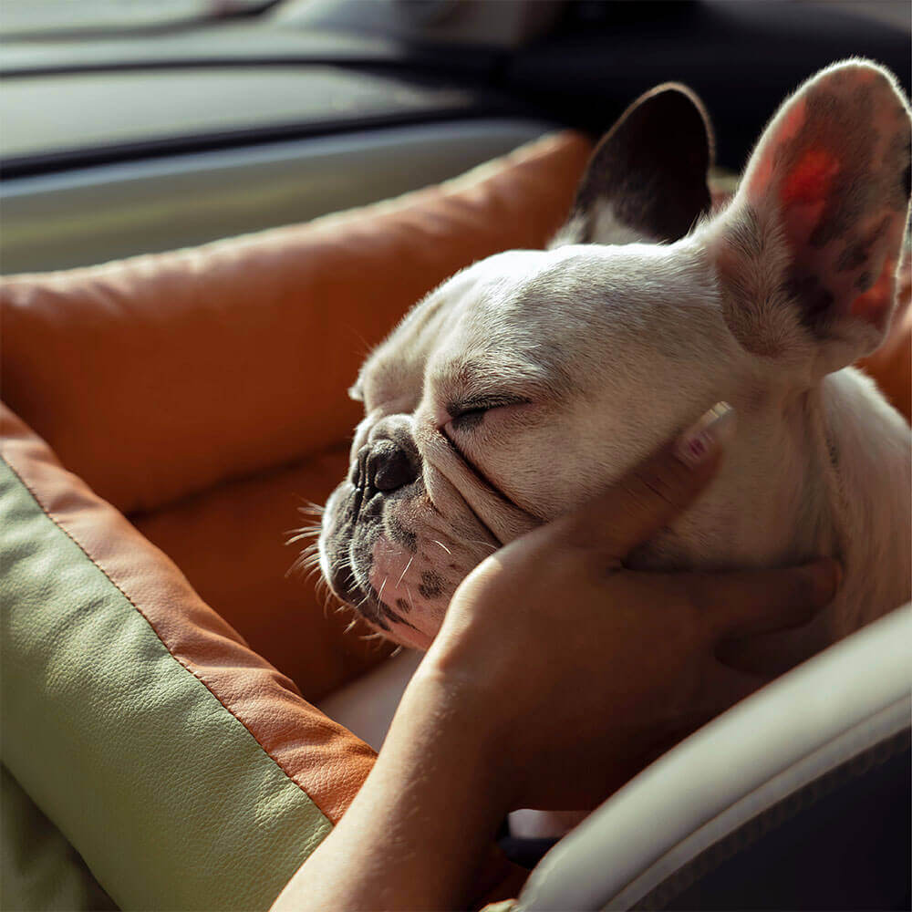 Bayline™ | Deluxe Faux Leer Hond Stoelverhoger Bed