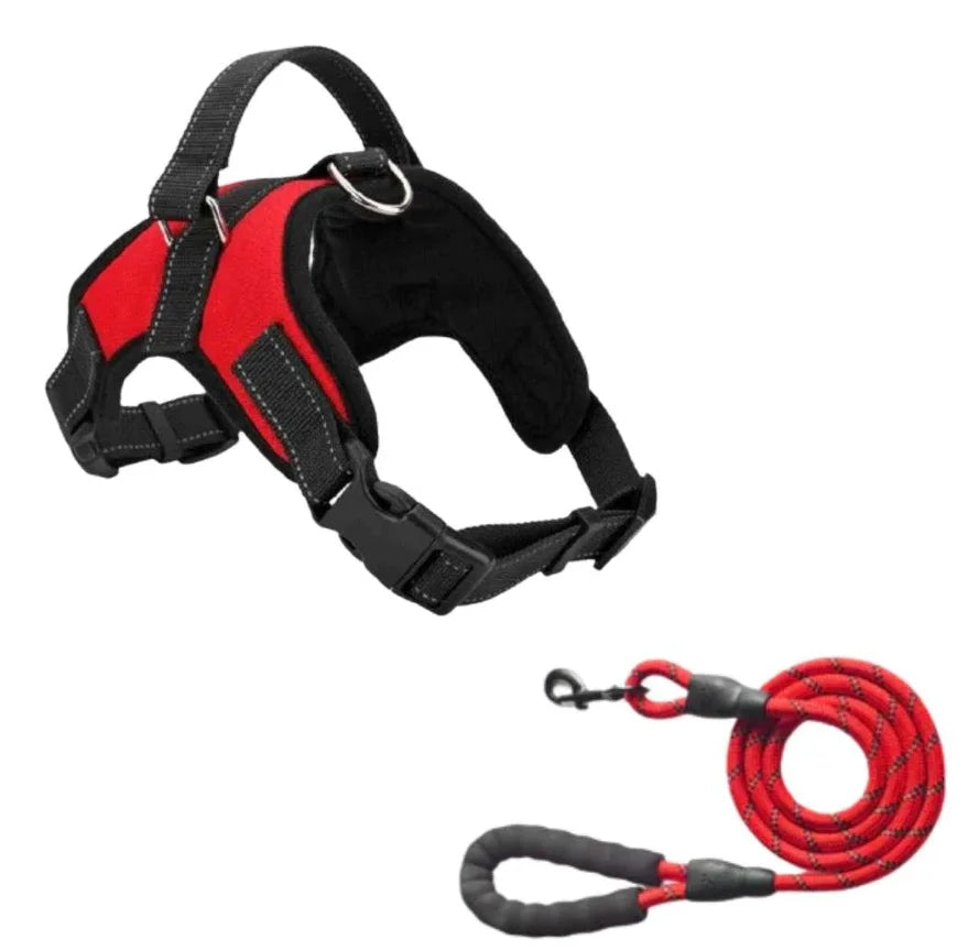 BAYDOG HARNAS™ | Voor iedere hond geschikt!