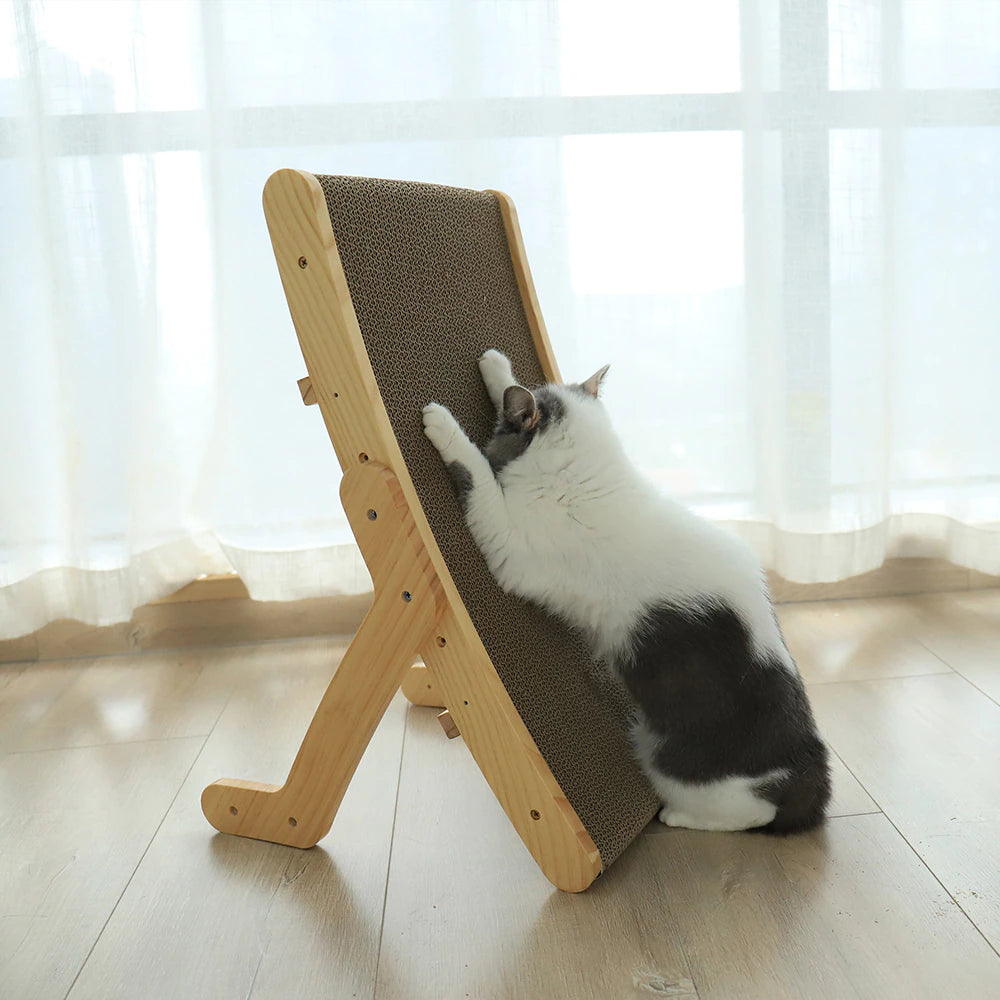 Purrfect Zen Lounge