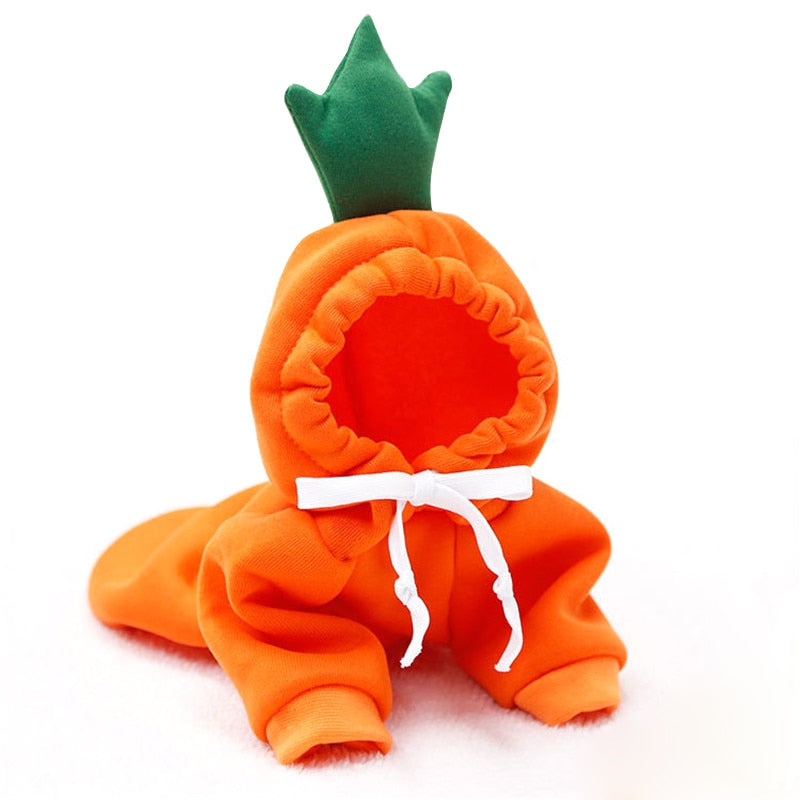 Fruit huisdierenkleding voor honden en katten!