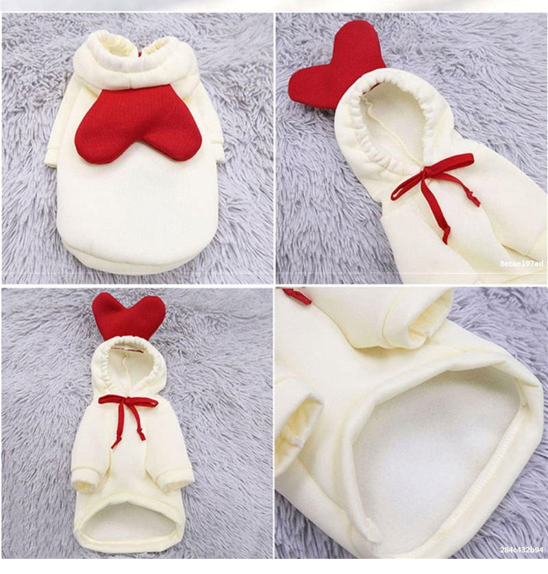 Fruit huisdierenkleding voor honden en katten!