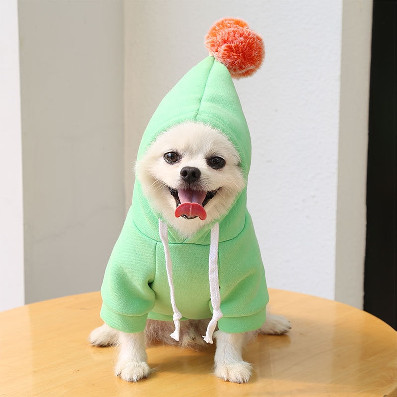 Fruit huisdierenkleding voor honden en katten!