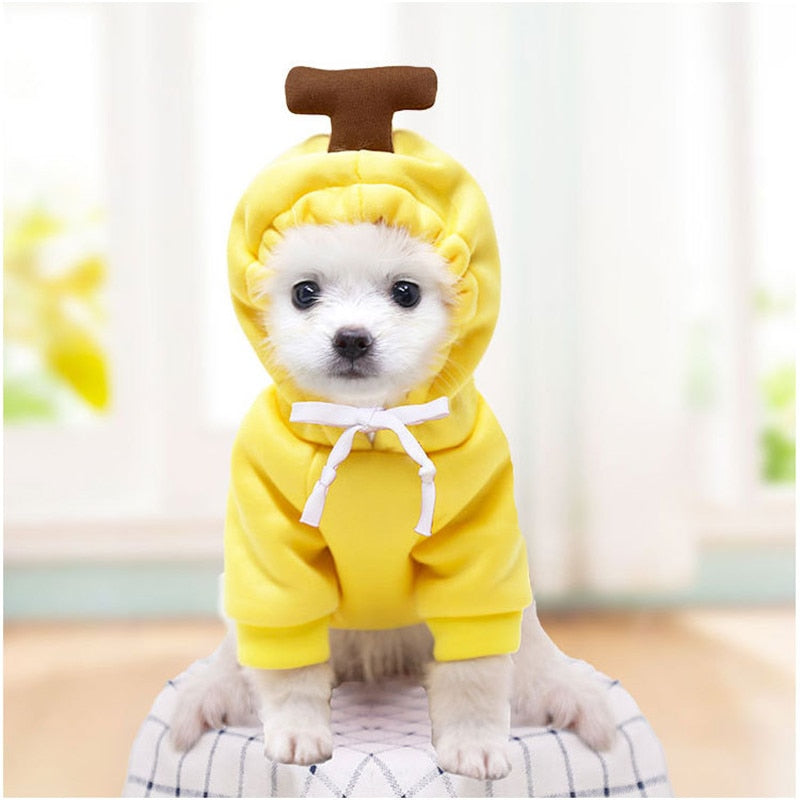 Fruit huisdierenkleding voor honden en katten!