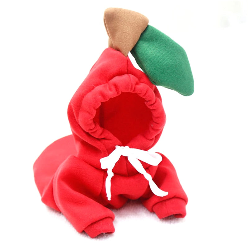 Fruit huisdierenkleding voor honden en katten!