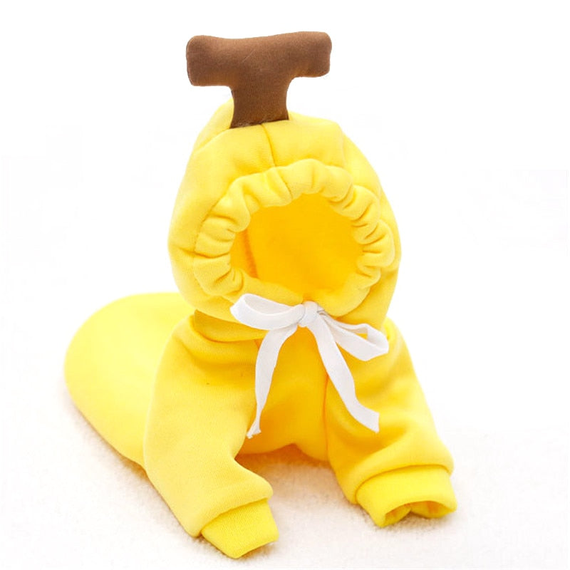 Fruit huisdierenkleding voor honden en katten!