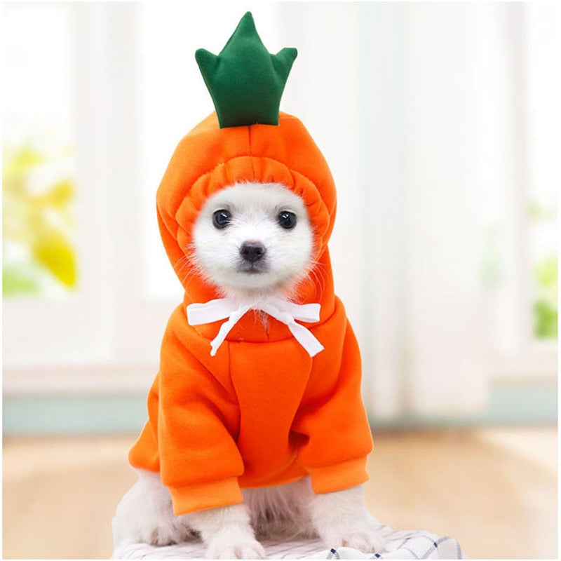 Fruit huisdierenkleding voor honden en katten!