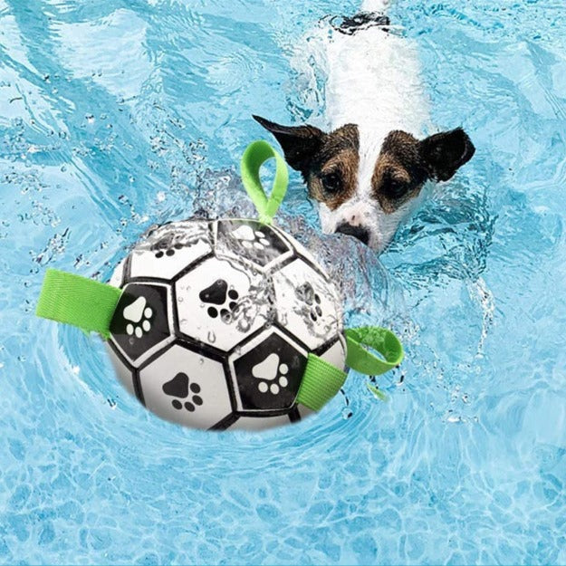 Bayline™ | PawKick - Voetbal Voor Honden