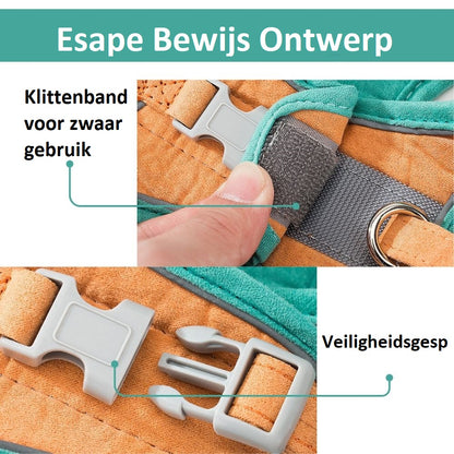 Bayline™ |  Kat Harnas en Leiband Set