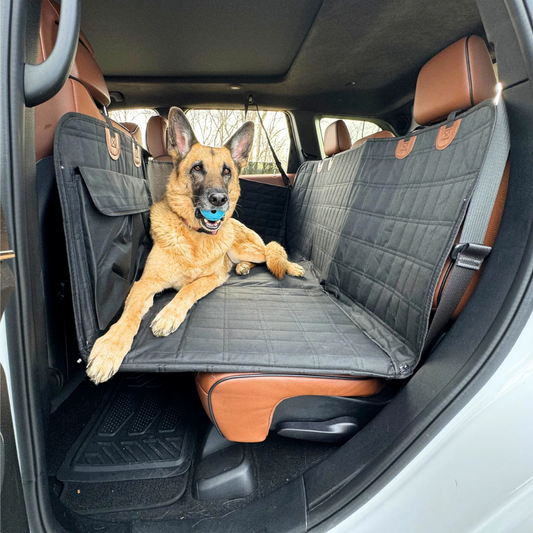 PoochPilot™ | Auto Comfort voor honden