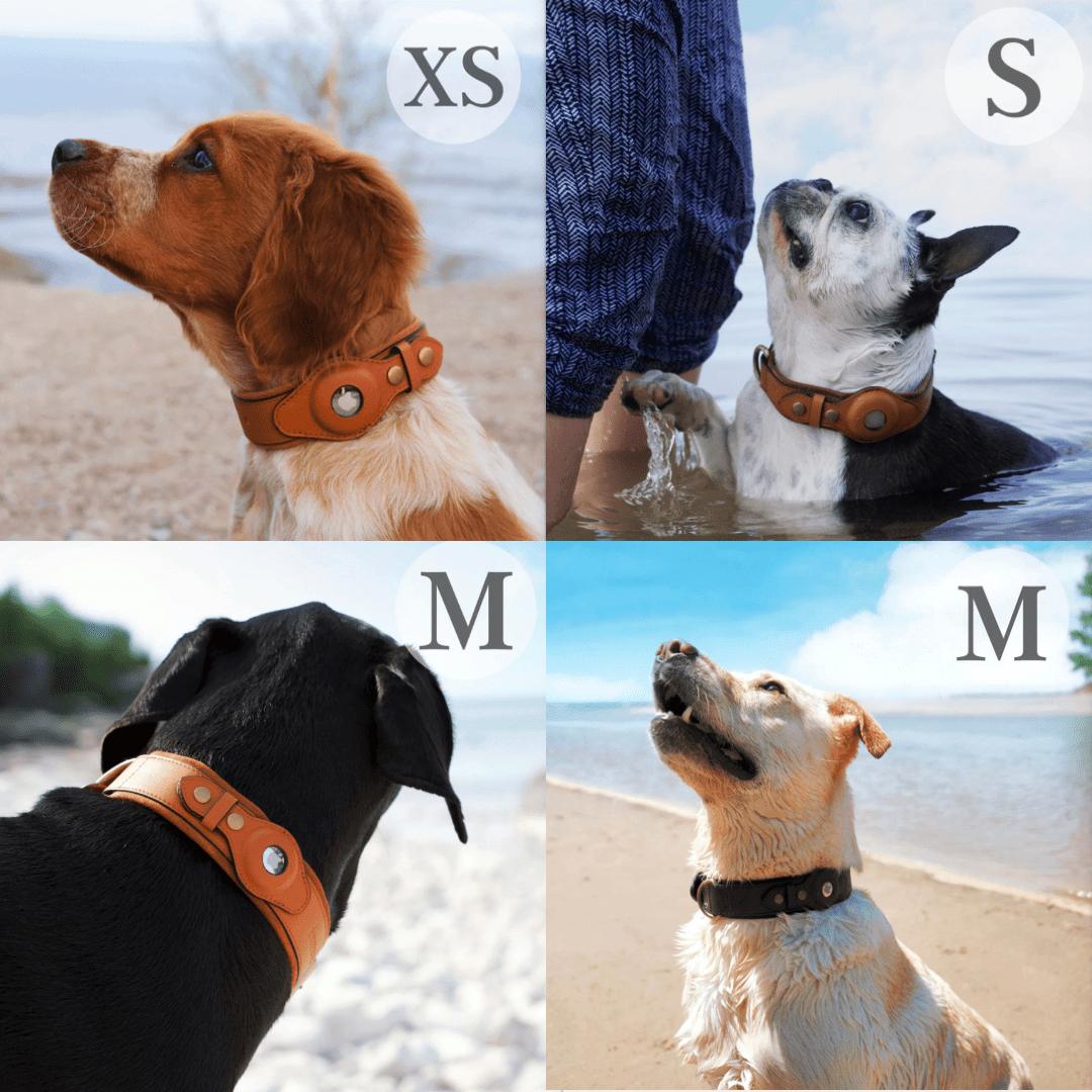 Bayline™ |  AirTag Leren Halsband