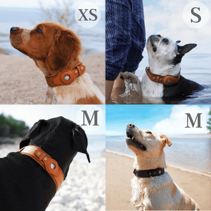 Bayline™ |  AirTag Leren Halsband