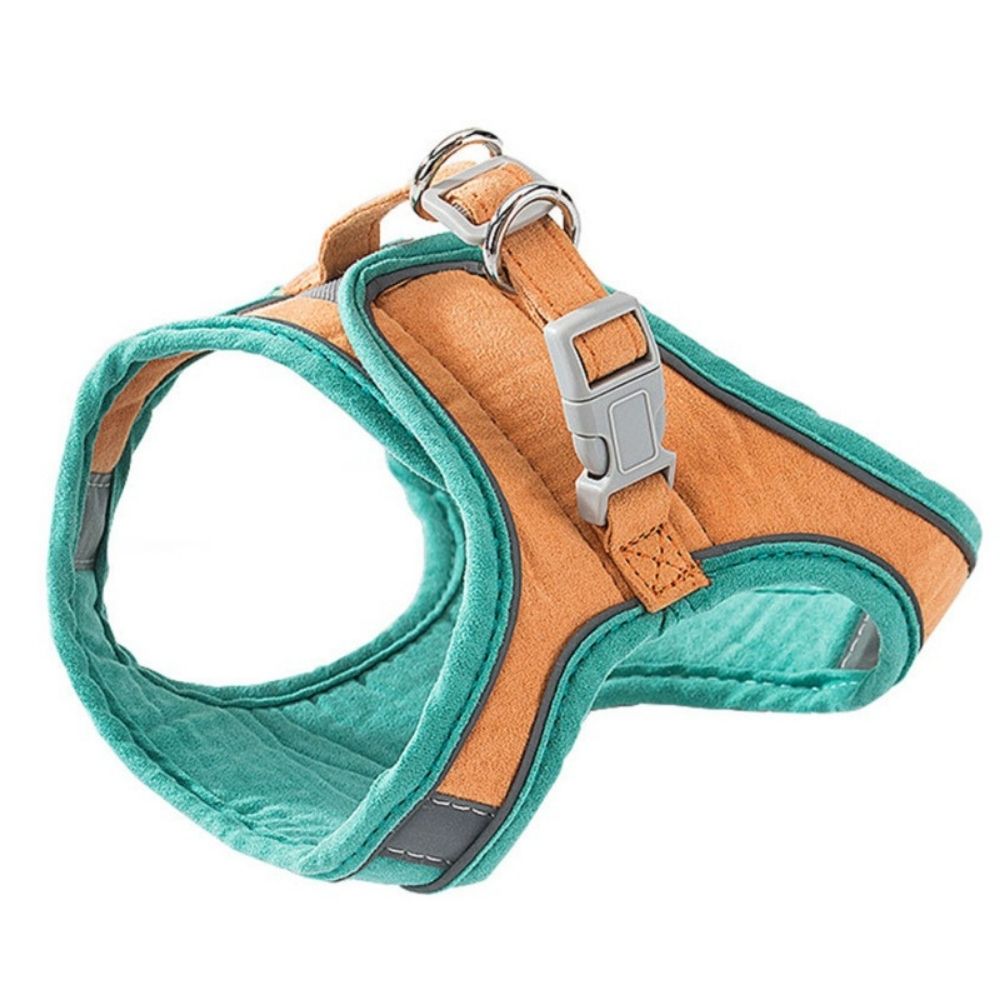 Bayline™ |  Kat Harnas en Leiband Set