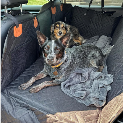 PoochPilot™ | Auto Comfort voor honden