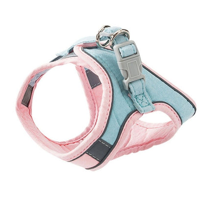 Bayline™ |  Kat Harnas en Leiband Set