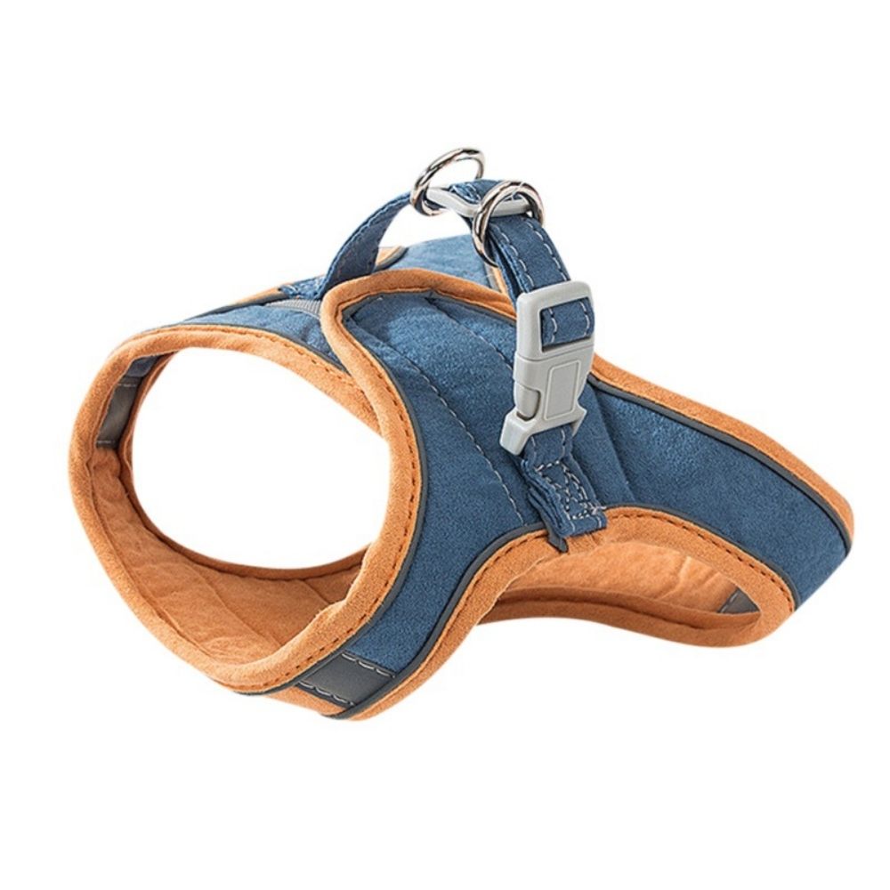 Bayline™ |  Kat Harnas en Leiband Set