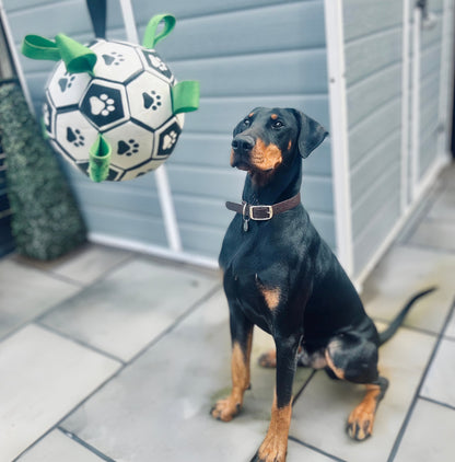 Bayline™ | PawKick - Voetbal Voor Honden
