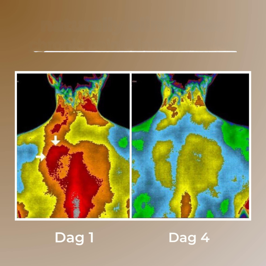 Bayline™ | Aardingsmat