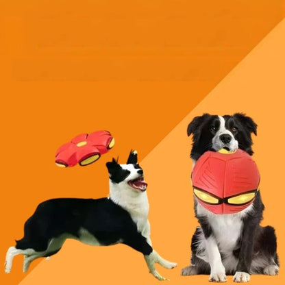 Bayline™ | Interactief Bal Speelgoed voor Huisdieren