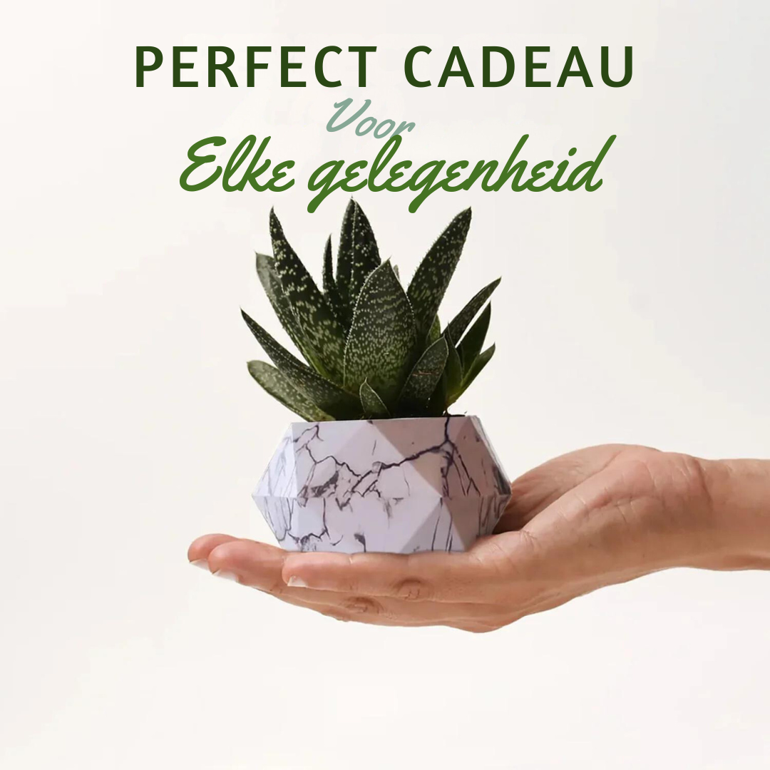 Bayline™ | Leviterende Plantenpot