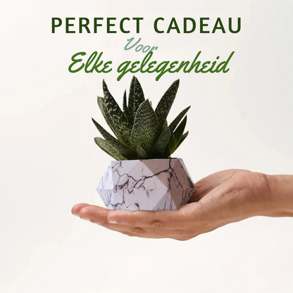 Bayline™ | Leviterende Plantenpot