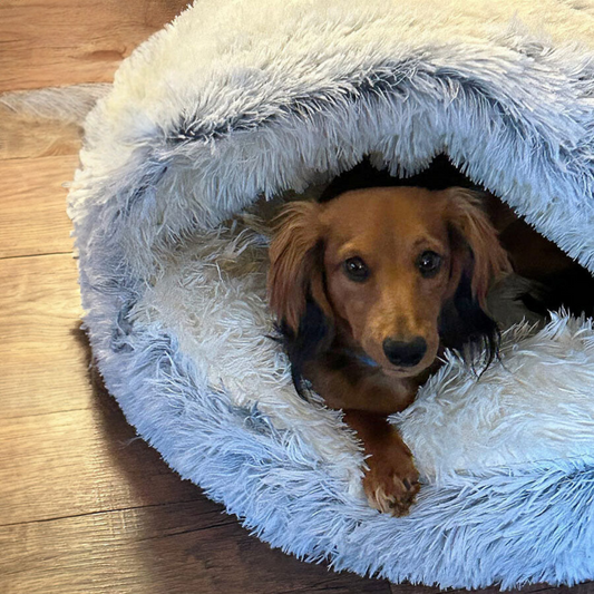 Bayline™ |  Premium Huisdierenbed