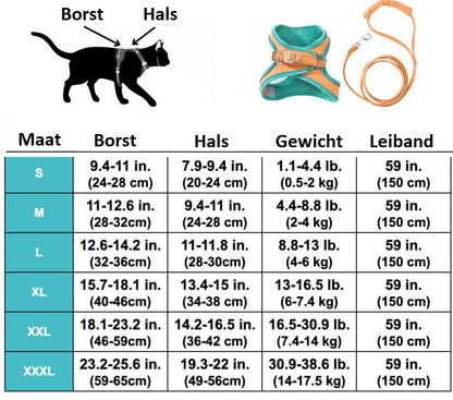 Bayline™ |  Kat Harnas en Leiband Set