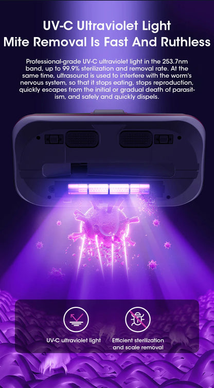 DreamClean™ matrasreiniger | Houdt uw matrassen schoon voor optimale slaap en gezondheid!