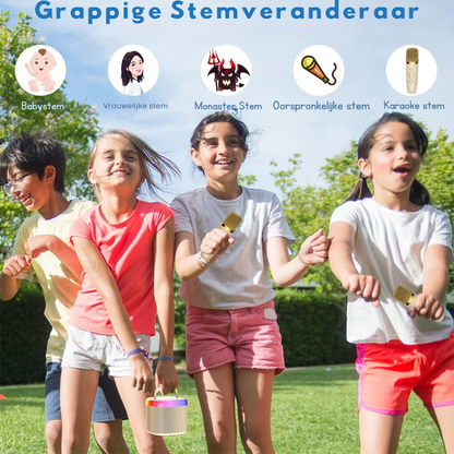 Bayline™ |  D17 Mini Karaoke Machine Voor Kinderen Met Draadloze Microfoons