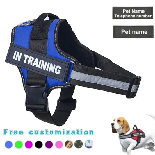 BAYDOG HARNAS™ | Voor iedere hond geschikt!
