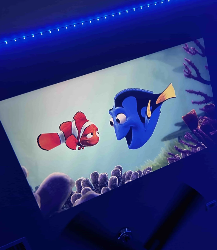 Bayline™ |  Mini Projector