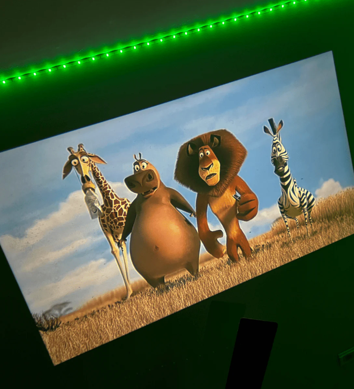Bayline™ |  Mini Projector
