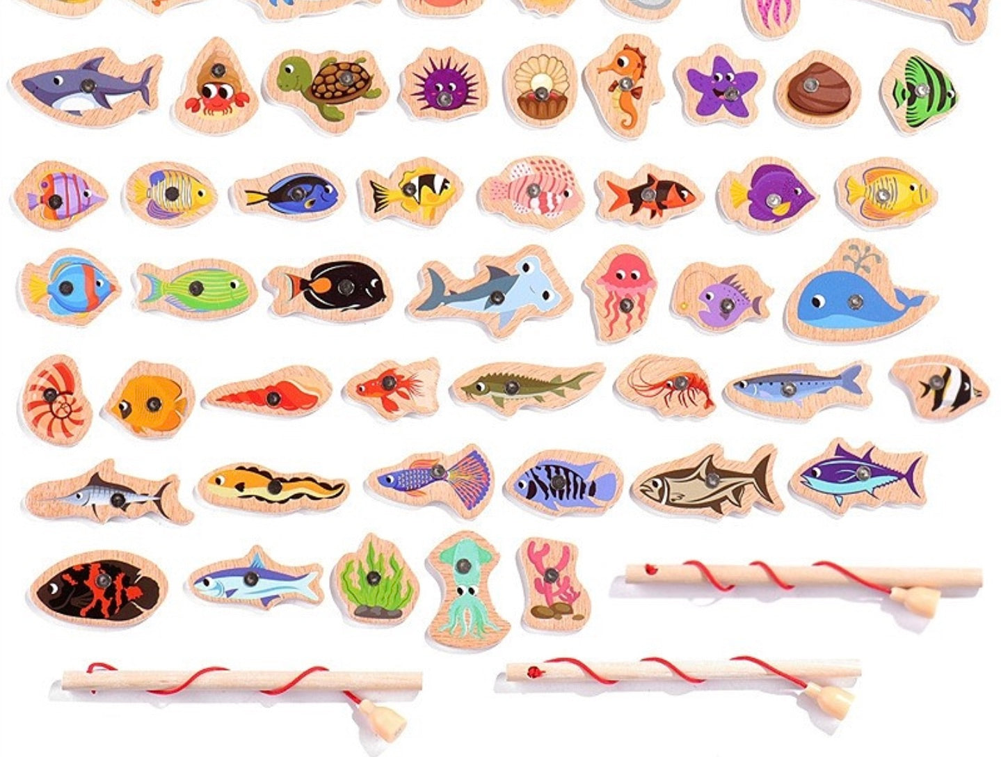 Bayline™ | Montessori Visspel