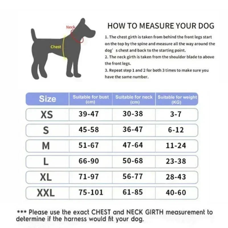 BAYDOG HARNAS™ | Voor iedere hond geschikt!