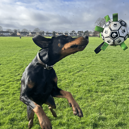 Bayline™ | PawKick - Voetbal Voor Honden