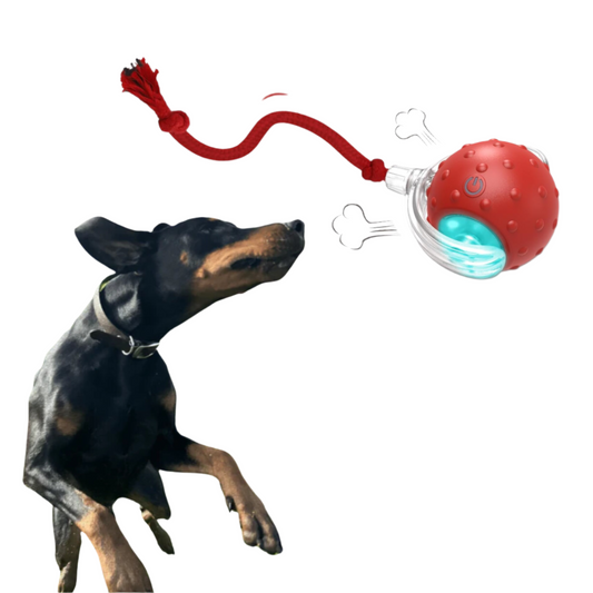 Bayline™ | Chewie Viral Rollende Bal