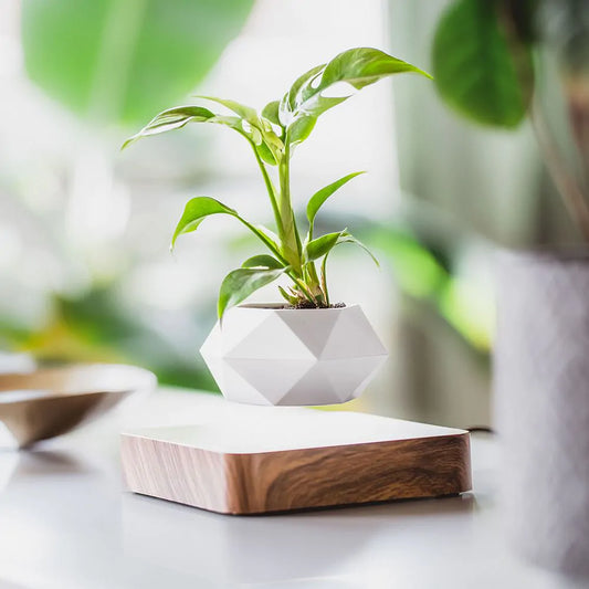 Bayline™ | Leviterende Plantenpot