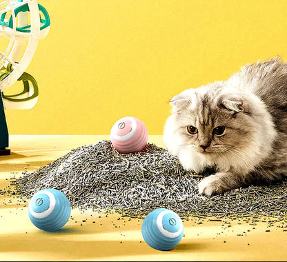 Bayline™ | Interactief Kogelspeelgoed voor Katten en Honden