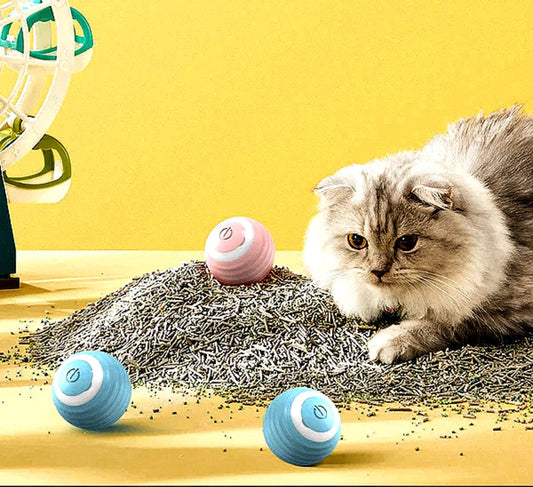 Bayline™ | Interactief Kogelspeelgoed voor Katten en Honden