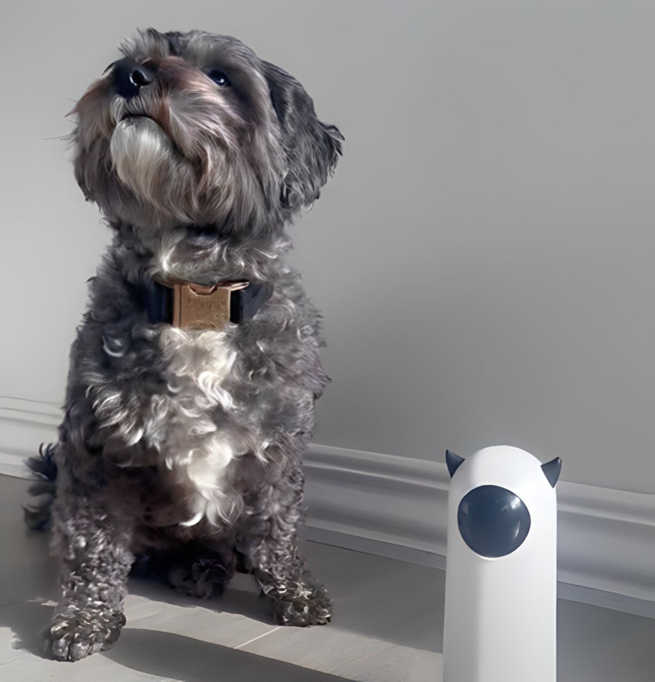 Bayline™ | Laserspeelgoed Voor Huisdieren