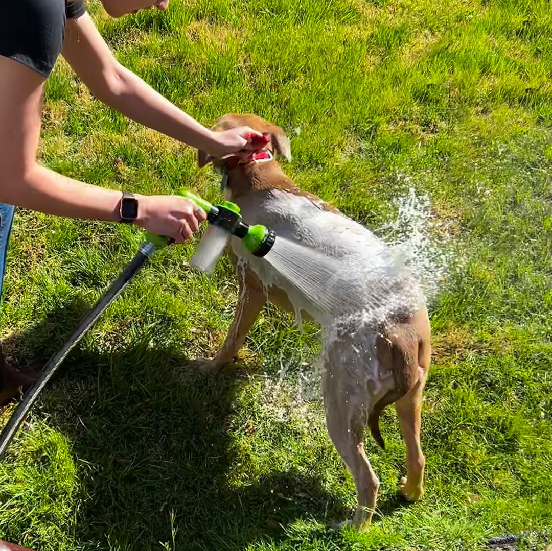 WoofWash™ | Snel en gemakkelijk je pup wassen!