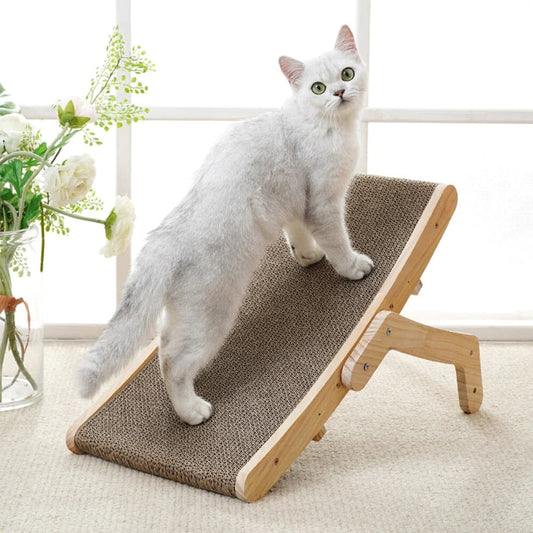 Purrfect Zen Lounge