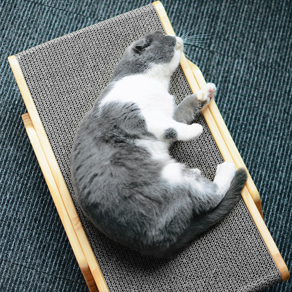 Purrfect Zen Lounge