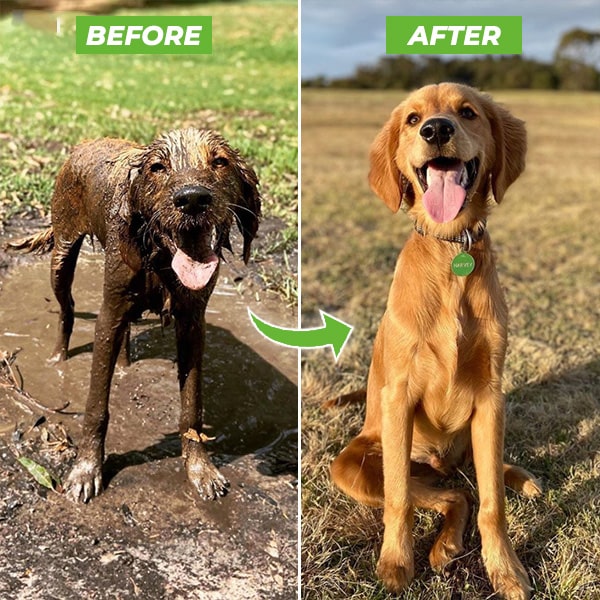 WoofWash™ | Snel en gemakkelijk je pup wassen!