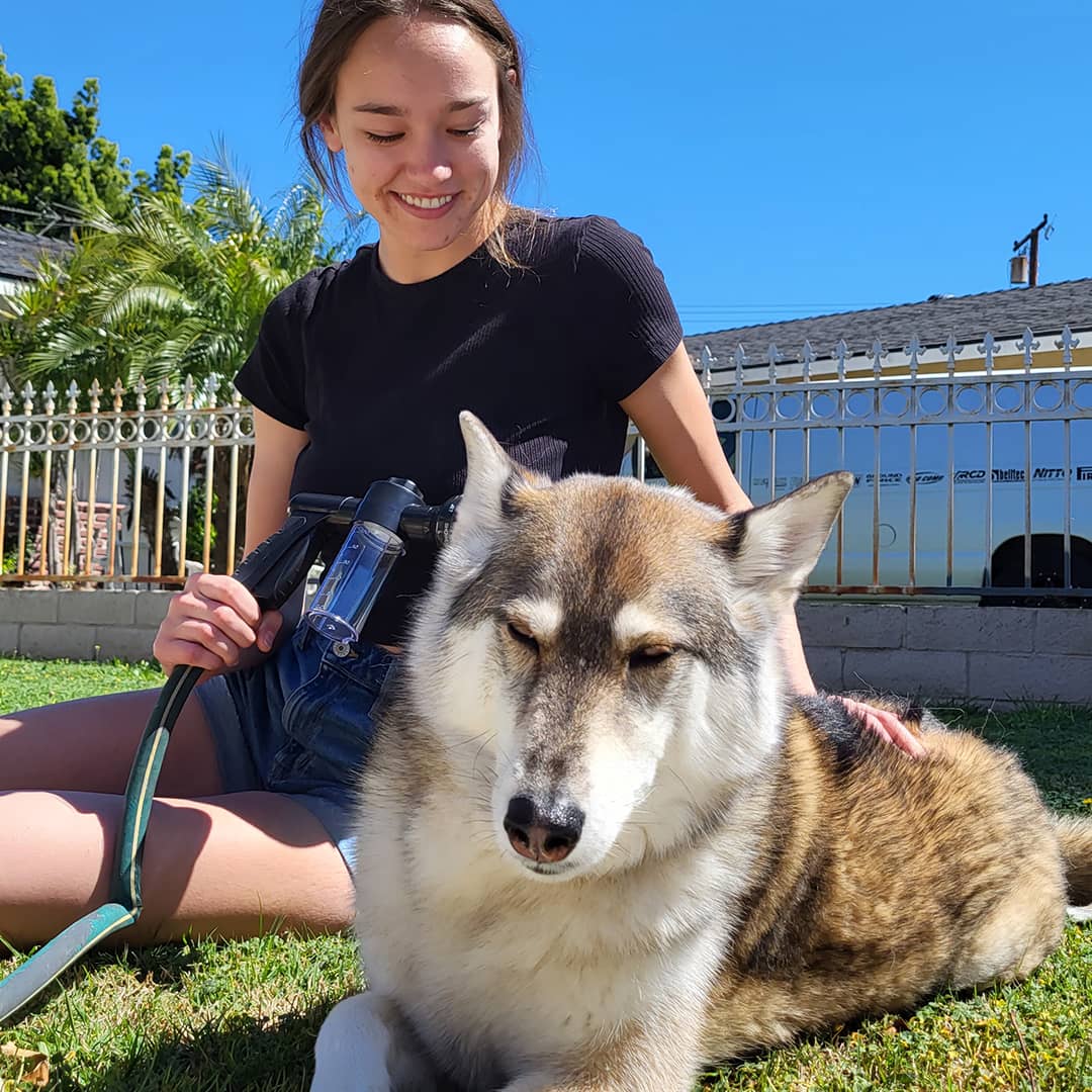 WoofWash™ | Snel en gemakkelijk je pup wassen!
