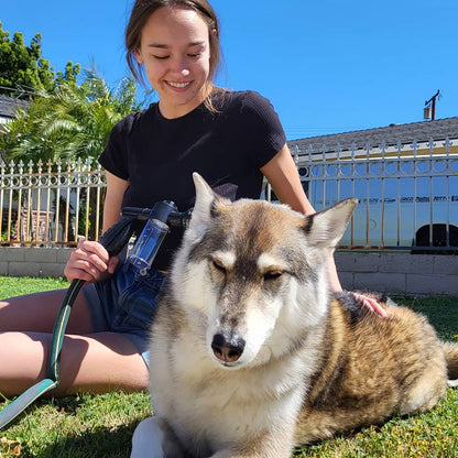 WoofWash™ | Snel en gemakkelijk je pup wassen!