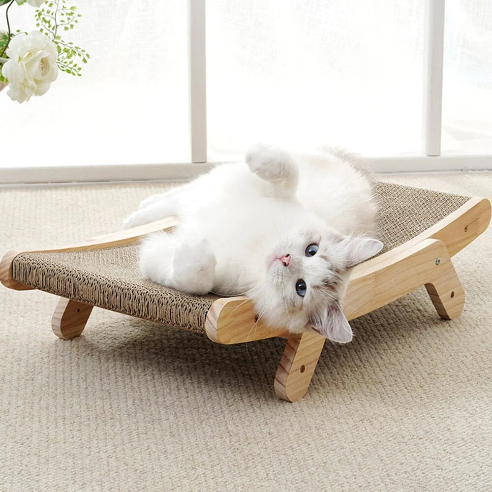 Purrfect Zen Lounge