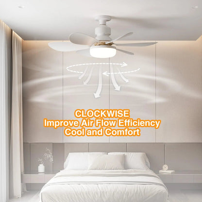 Breezemaster™ Smart Fan | De slimme plafondventilator die je zonder moeite ophangt!